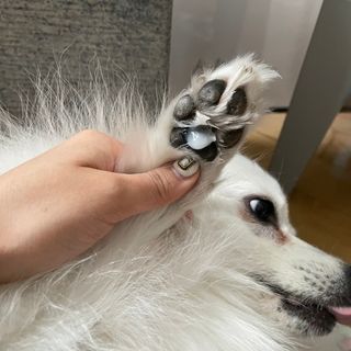 혜띠님이 올린 리뷰 사진 4