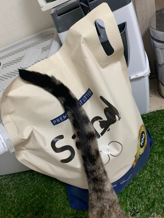 어린이님이 올린 리뷰 사진 2