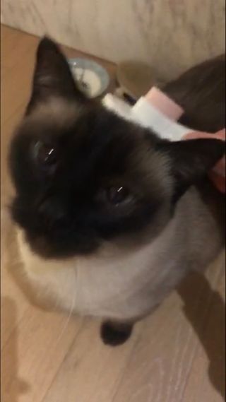 룰류랄라님이 올린 리뷰 사진 3