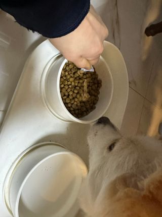 멍뭉님이 올린 리뷰 사진 3