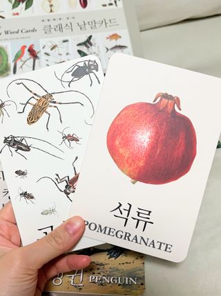 김디님이 올린 리뷰 사진 3