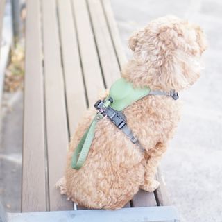 윤디캔디님이 올린 리뷰 사진 2