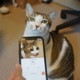 제이님이 올린 리뷰 사진 1
