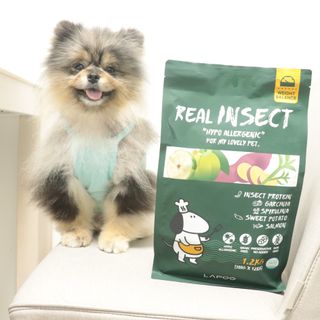 [푸디웜] 라포그  리얼인섹트 웨이트밸런스 저알러지 강아지 사료  1.2KG — 5점을 준 리뷰어가 2022년 7월 올린 사용 사진