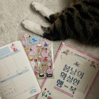 리훈 하밍이와 함께하는 숨은라인찾기 다이어트 플래너 — 5점을 준 리뷰어가 2021년 4월 올린 사용 사진
