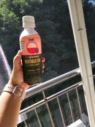 더그레잇티 콤부차 300ml *12개입 (오리지널 6개+베리리치 6개) — 5점을 준 리뷰어가 2022년 7월 올린 사용 사진