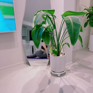 [딕시] 힙 플랙션 레깅스 HIP FLEXION Leggings — 5점을 준 리뷰어가 2022년 10월 올린 사용 사진