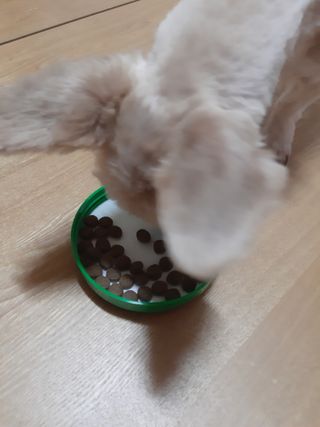 moomoon님이 올린 리뷰 사진 3