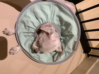 댑빵이님이 올린 리뷰 사진 2