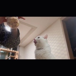 ㄹ진님이 올린 리뷰 사진 2