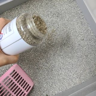 루잉루잉님이 올린 리뷰 사진 2