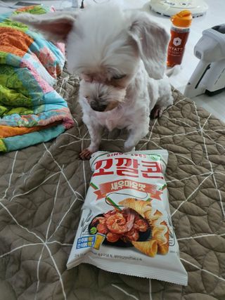 쮸동비님이 올린 리뷰 사진 3