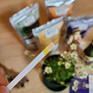 김맘님이 올린 리뷰 사진 1