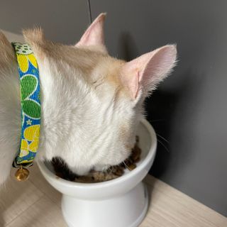 MoonHeeChoi님이 올린 리뷰 사진 4