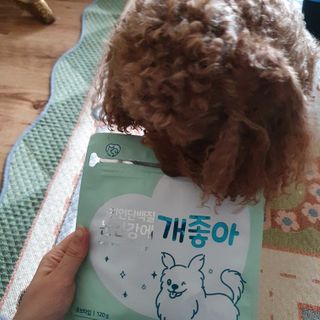 My Pet Care 천연단백질 눈건강에 개좋아 — 5점을 준 리뷰어가 2021년 2월 올린 사용 사진