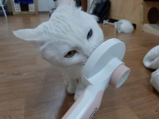 코코몰리 실키 데일리 원터치 브러쉬 — 5점을 준 리뷰어가 2021년 1월 올린 사용 사진