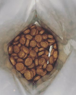 캐닌캐비어 4종 체험팩(오픈스카이, 와일드오션, 프리스피릿, 스페셜니즈) — 5점을 준 리뷰어가 2023년 2월 올린 사용 사진