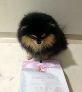성욘님이 올린 리뷰 사진 2