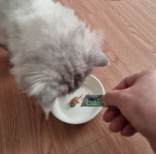 신선님이 올린 리뷰 사진 2