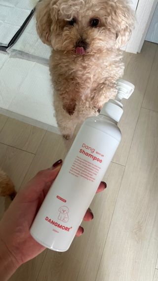 [댕모어 샴푸 2종] 댕샴푸 / 퍼피샴푸  2종 세트 (300ml) — 5점을 준 리뷰어가 2023년 11월 올린 사용 사진