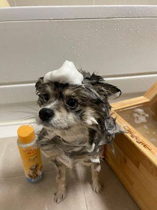 찌니님이 올린 리뷰 사진 4