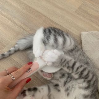 쏘빛나라님이 올린 리뷰 사진 4