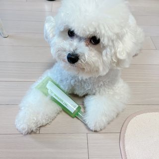 윰쏘님이 올린 리뷰 사진 2
