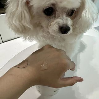 비엔디 프리용[한/영]BnD 바디 주름개선 엉덩이크림 — 4점을 준 리뷰어가 2024년 11월 올린 사용 사진