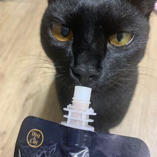 수린님이 올린 리뷰 사진 2