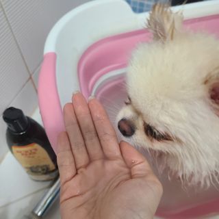 유화님이 올린 리뷰 사진 2