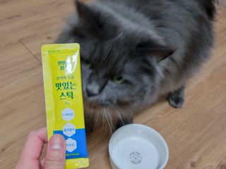 페페로니 맛있는 스틱 - 무항생제 닭고기 15개 + 원양선 참치 15개 — 5점을 준 리뷰어가 2021년 8월 올린 사용 사진