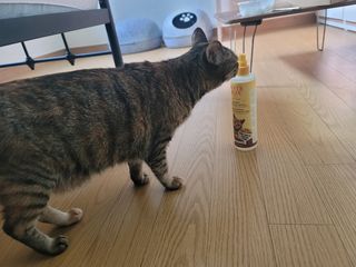 리지용님이 올린 리뷰 사진 2