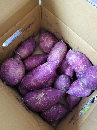 뚜디니님이 올린 리뷰 사진 3