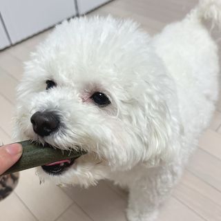 윰쏘님이 올린 리뷰 사진 2