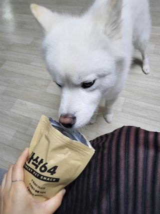 [보헤리] 국내산 강아지 육포간식 바삭 64 2종 — 5점을 준 리뷰어가 2022년 3월 올린 사용 사진
