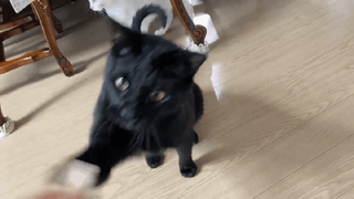 서현님이 올린 리뷰 사진 2