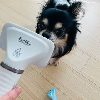 아베크 펫 강아지 고양이 애견 에어 브러쉬 드라이기 올인원 — 4점을 준 리뷰어가 2021년 7월 올린 사용 사진