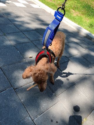 ReaLee님이 올린 리뷰 사진 1