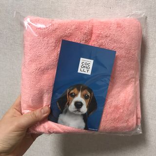 코코몰리 보들보들 초극세사 프리미엄 펫전용 타올 — 5점을 준 리뷰어가 2021년 1월 올린 사용 사진