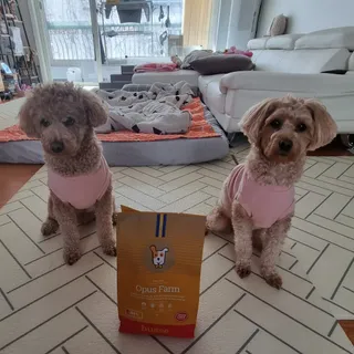 기린짱맘님이 올린 리뷰 사진 2