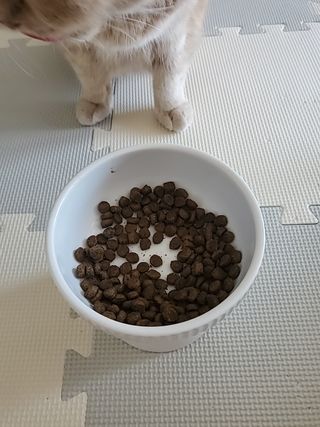 지나바람님이 올린 리뷰 사진 1