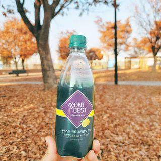 몽베스트 Montbest with Sparkling water Lemon OR Lime 20병(랜덤) — 5점을 준 리뷰어가 2022년 11월 올린 사용 사진