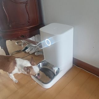 MoonHeeChoi님이 올린 리뷰 사진 4