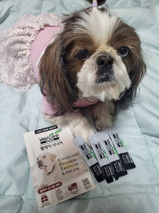 노이님이 올린 리뷰 사진 3