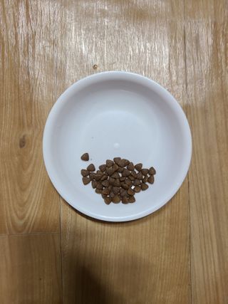 마리아빠님이 올린 리뷰 사진 4