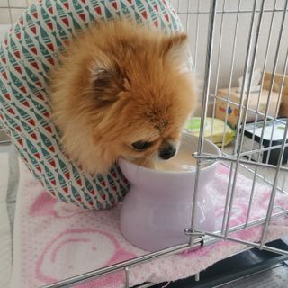 🌷 킴블리 🌷님이 올린 리뷰 사진 4