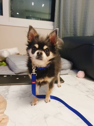 애월님이 올린 리뷰 사진 2
