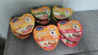 비타크래프트 조에시 하트캔 85g 강아지 습식캔 10캔 — 5점을 준 리뷰어가 2021년 7월 올린 사용 사진