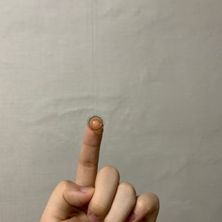 꽃찐빵님이 올린 리뷰 사진 2