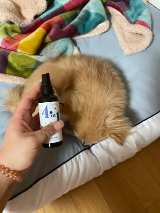 용빈맘님이 올린 리뷰 사진 2